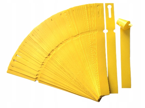 ead03ec8d56cb0fe5565408e8199bf81