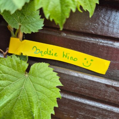 75d7e32152a6df2ffe26a6225d24268a