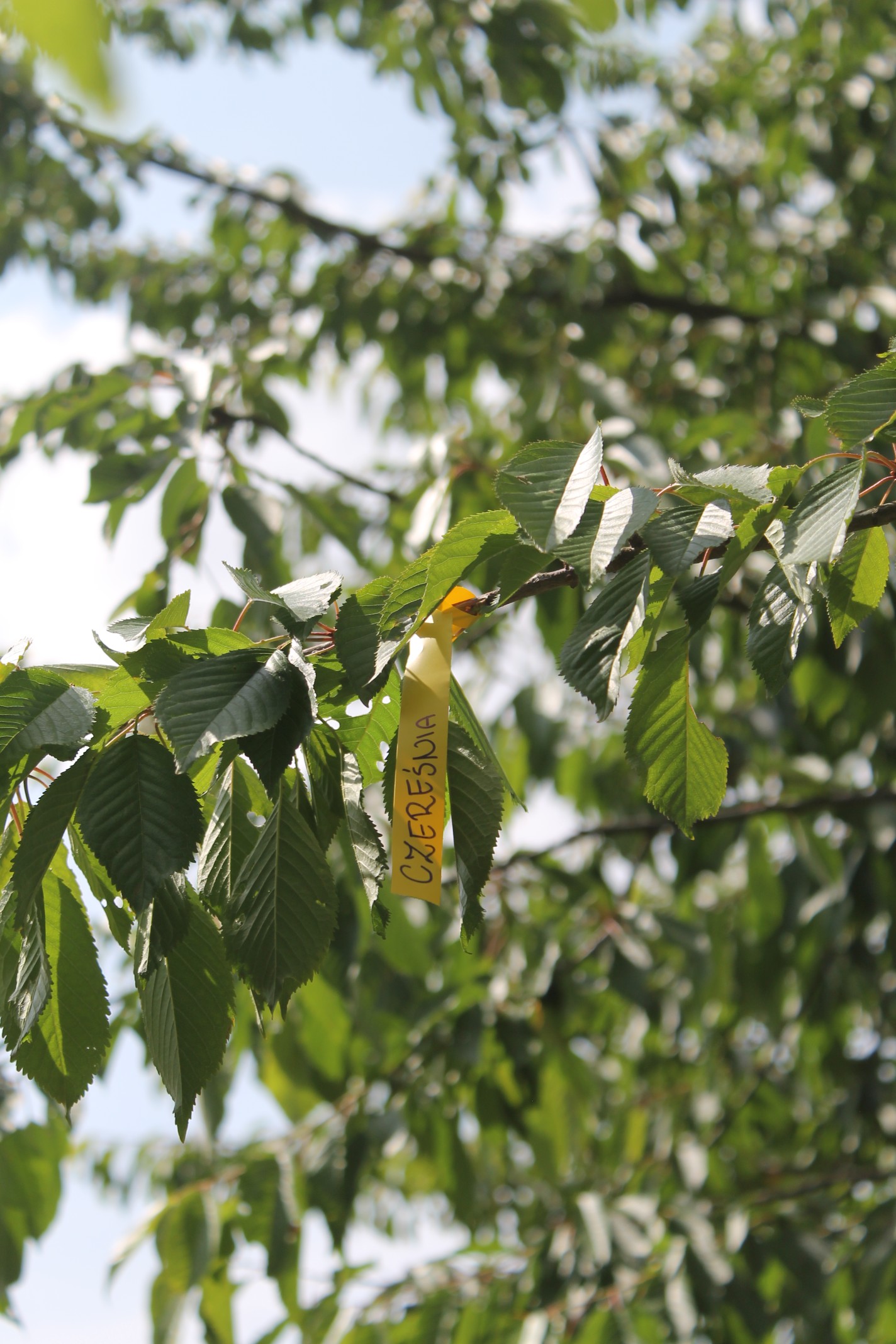 22d91c3a836b304c6188220e58d71c37