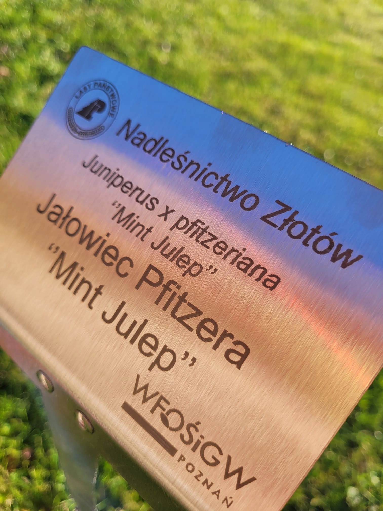 Tabliczka ogrodowa wtykana, nierdzewna, DUŻA, 10szt, 155x105x450 Producent - obrazek 9