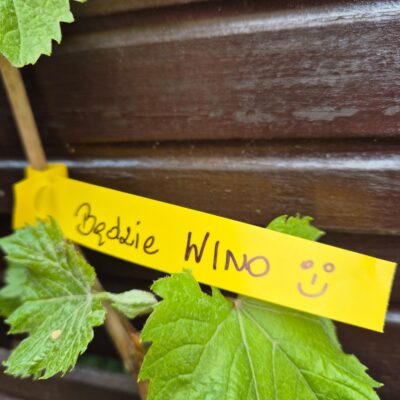 b3274b064470e5b4c12ca5aa48839bd8