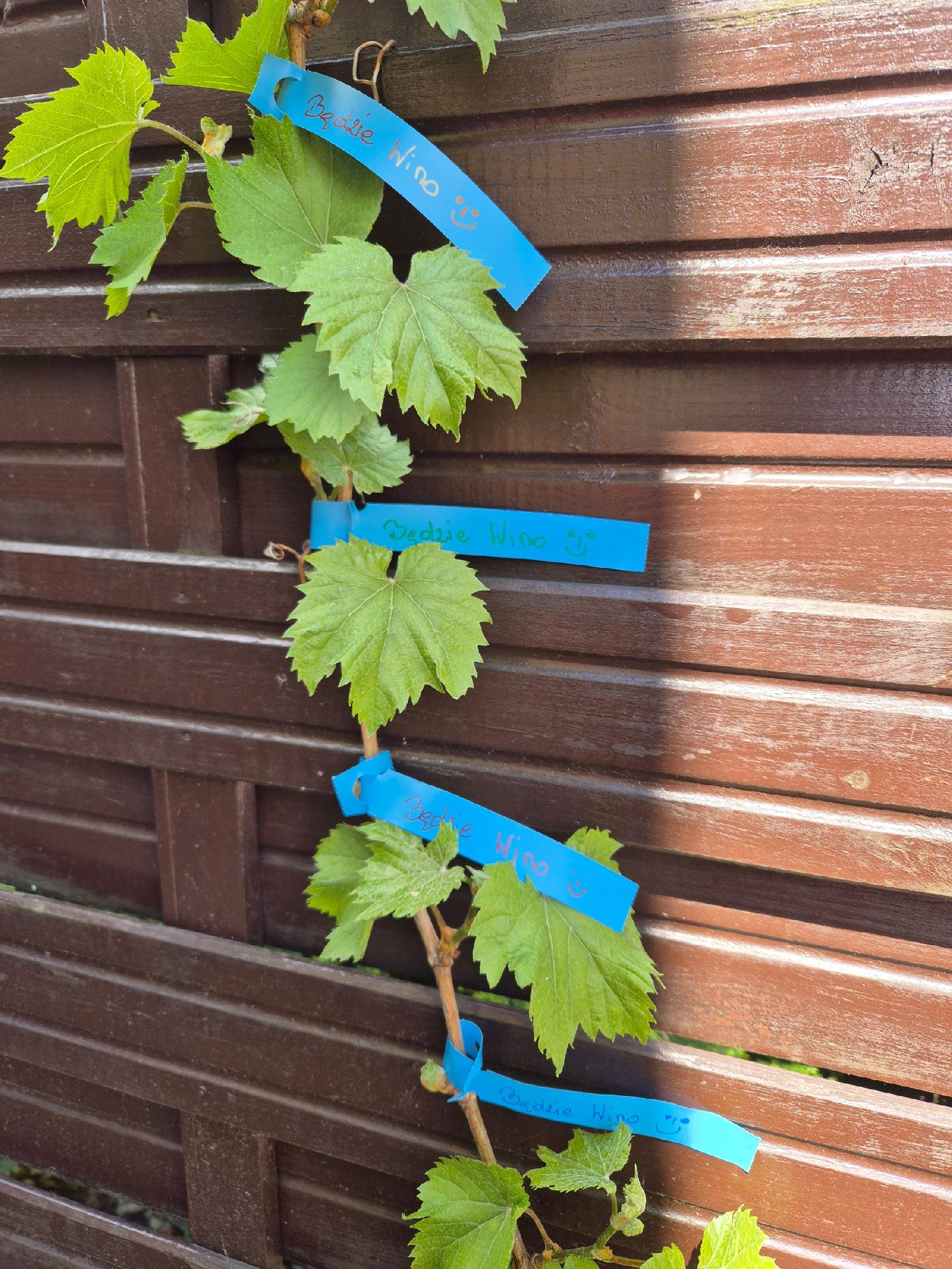 0ea1fe9c3b7ec198852a67887018ecc9