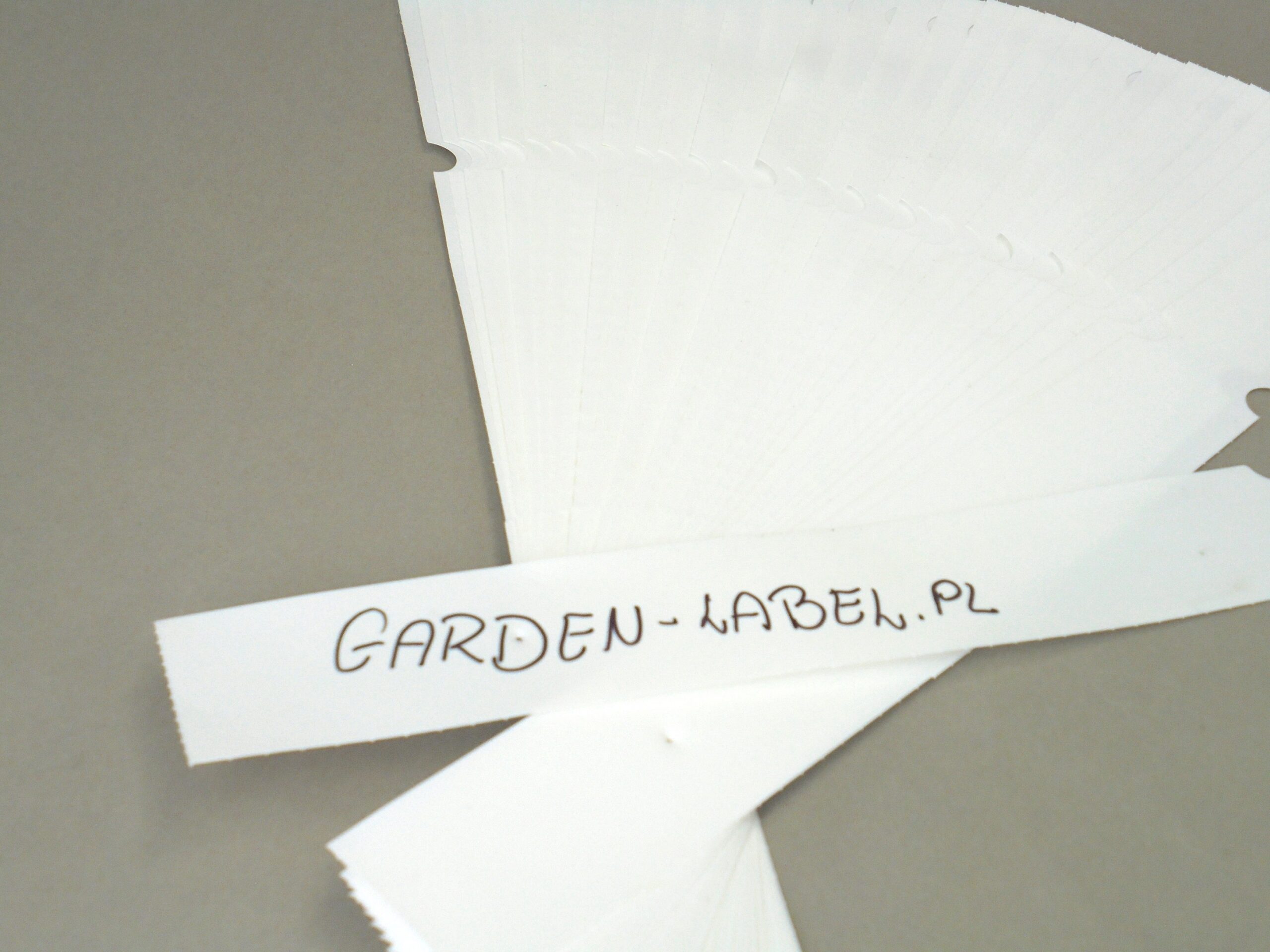 af56c829876d807655f64d8b05447706