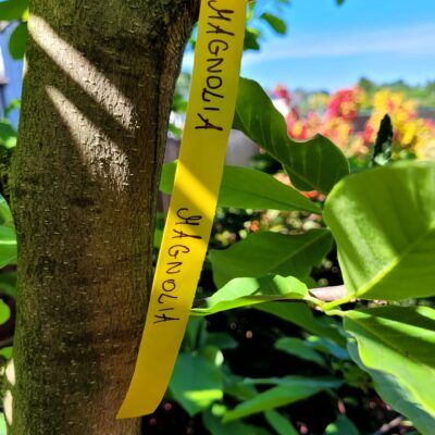 ca938e06e59c323ea9007952c3a70efa