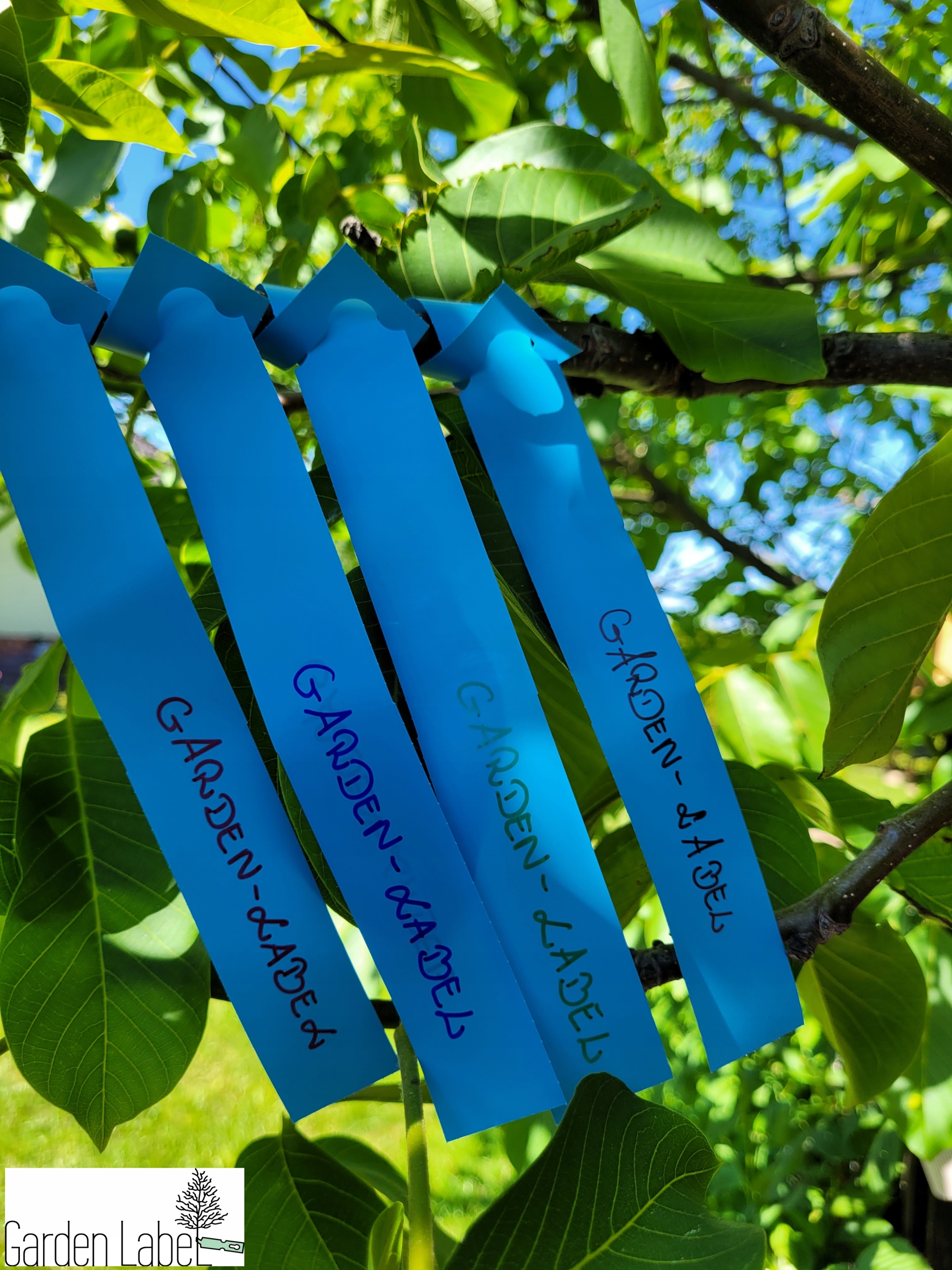 f0cb5787c3054968907fe59b2227e2e3