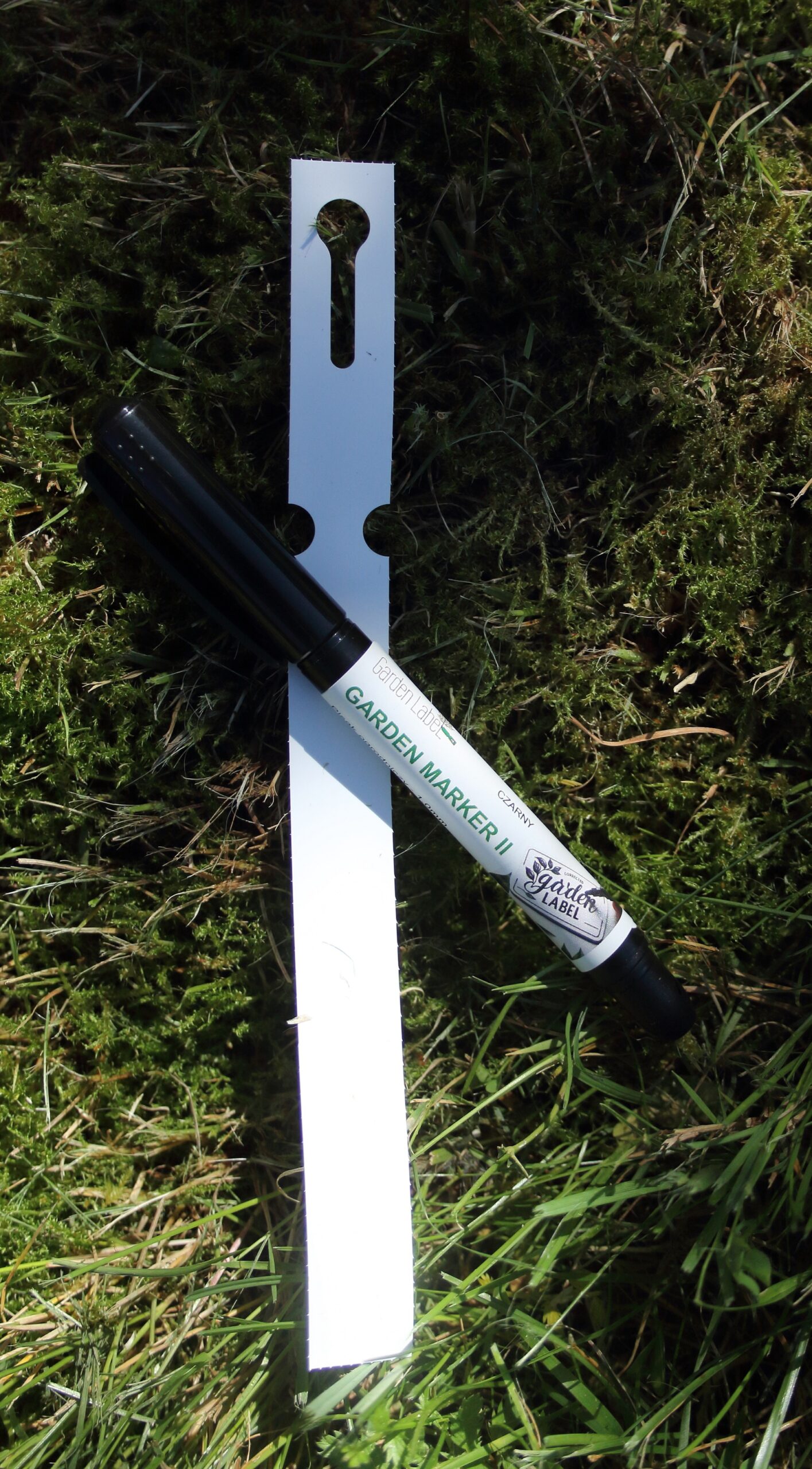 0101c98f2ff8c12794d9daa4ec3f763e