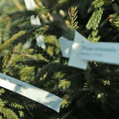 0090f2b68e9dee60fc4d91bf5925c2f8