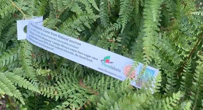 Etykieta pętlowa - Loop Label 35 x 297 mm (6) (D) A4 sheets (3073) FloraLabels - obrazek 2