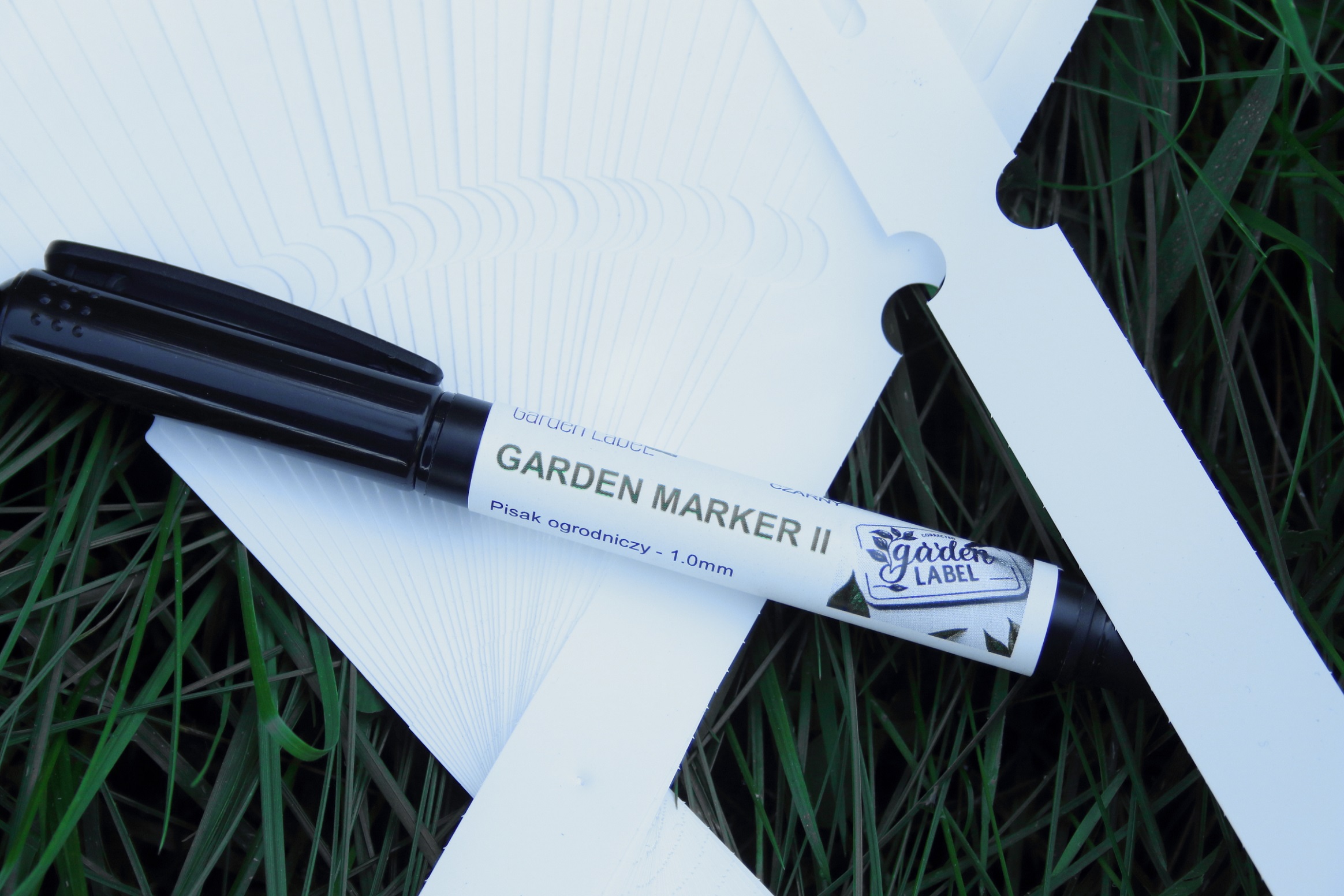 f794c2aed8bea819837459d504f64c23