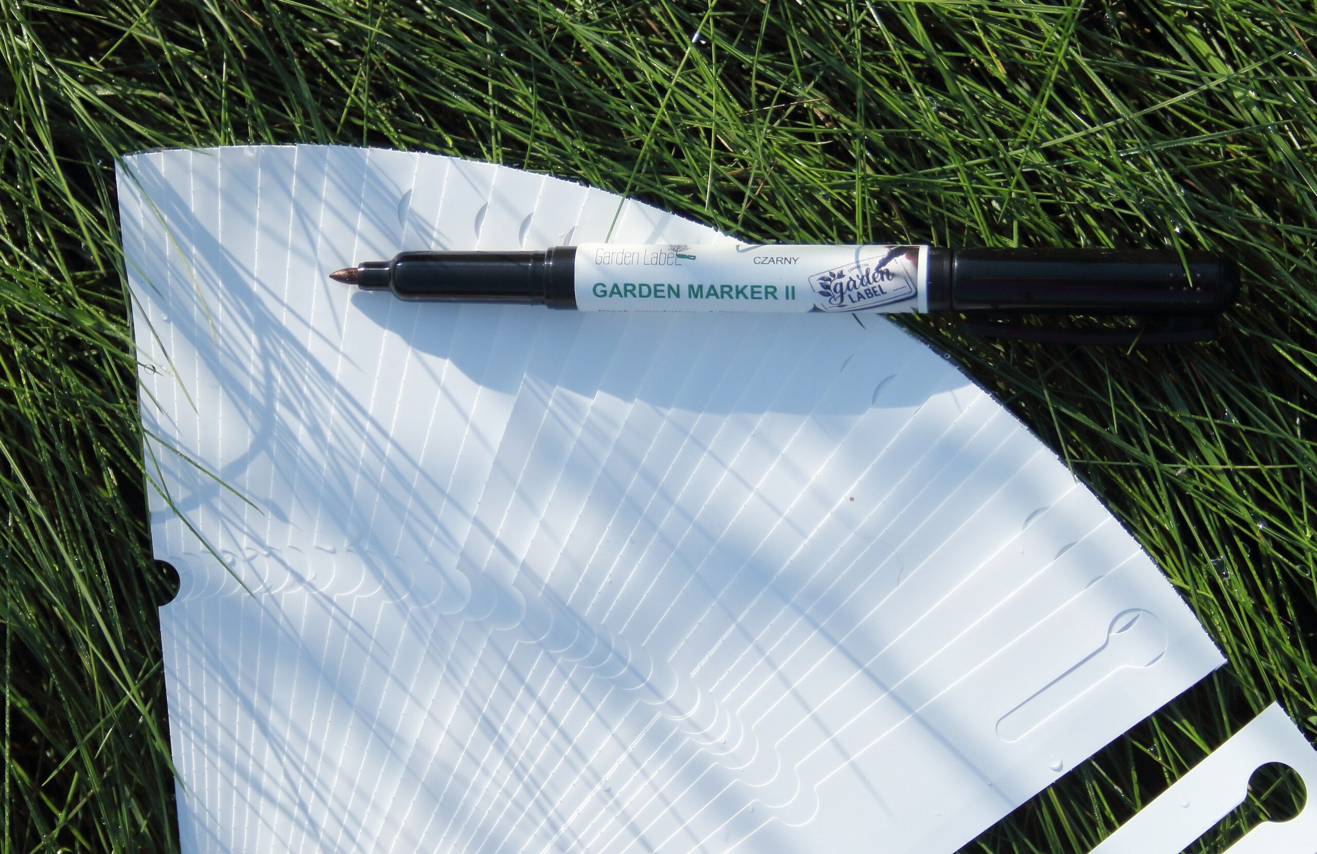 ccfd80a33e8c3bb0a3e033bd85caa84f