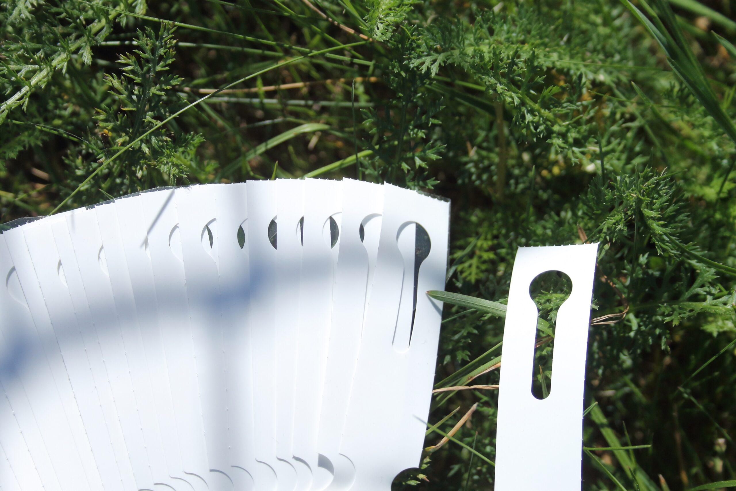 f3a90d3555a879e13a919bb47aaf90ea