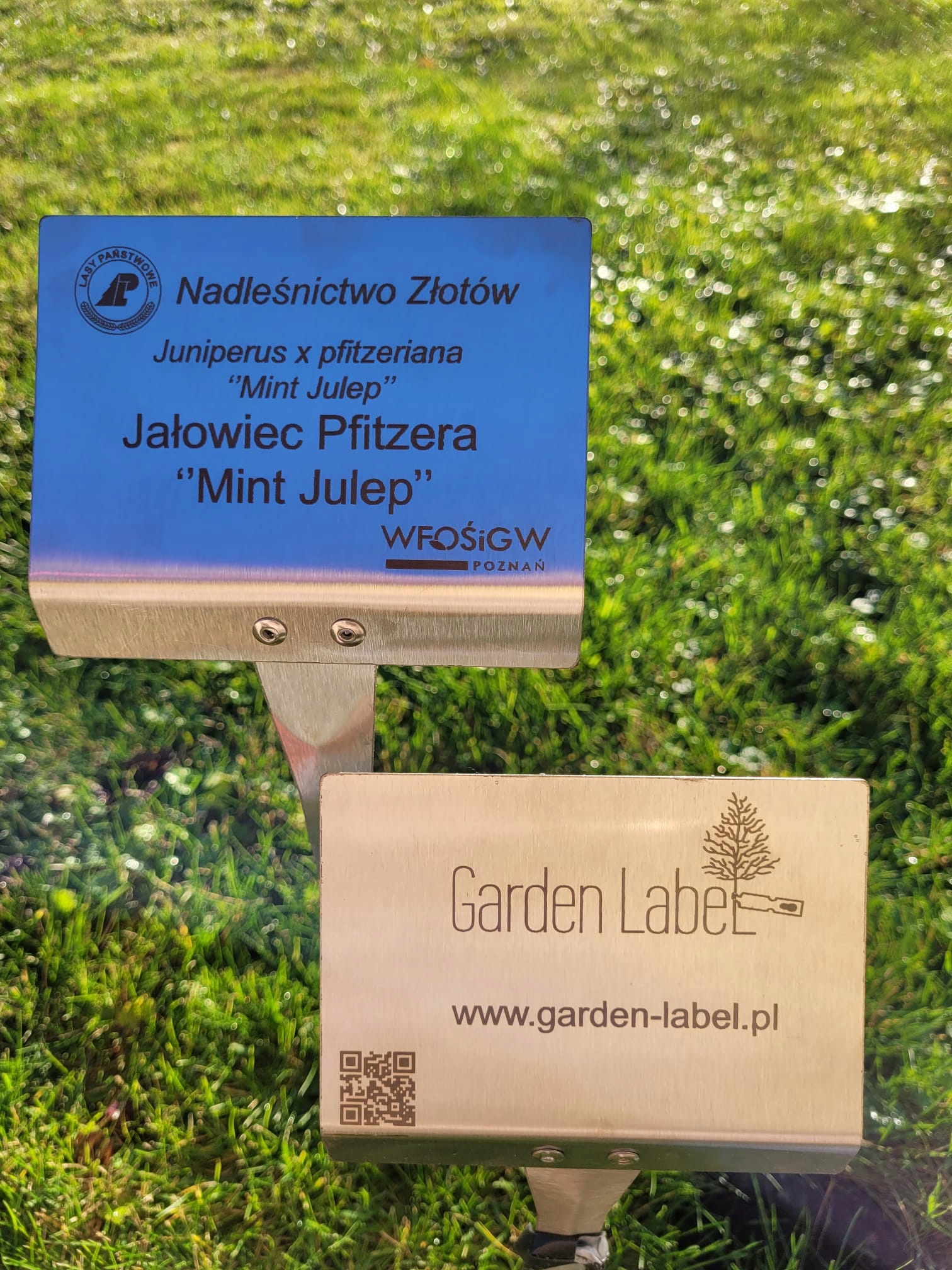 Tabliczka ogrodowa wtykana, nierdzewna, DUŻA, 10szt, 155x105x450 Producent - obrazek 8