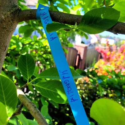 98f9650da5f7c33716fd7624992717f4