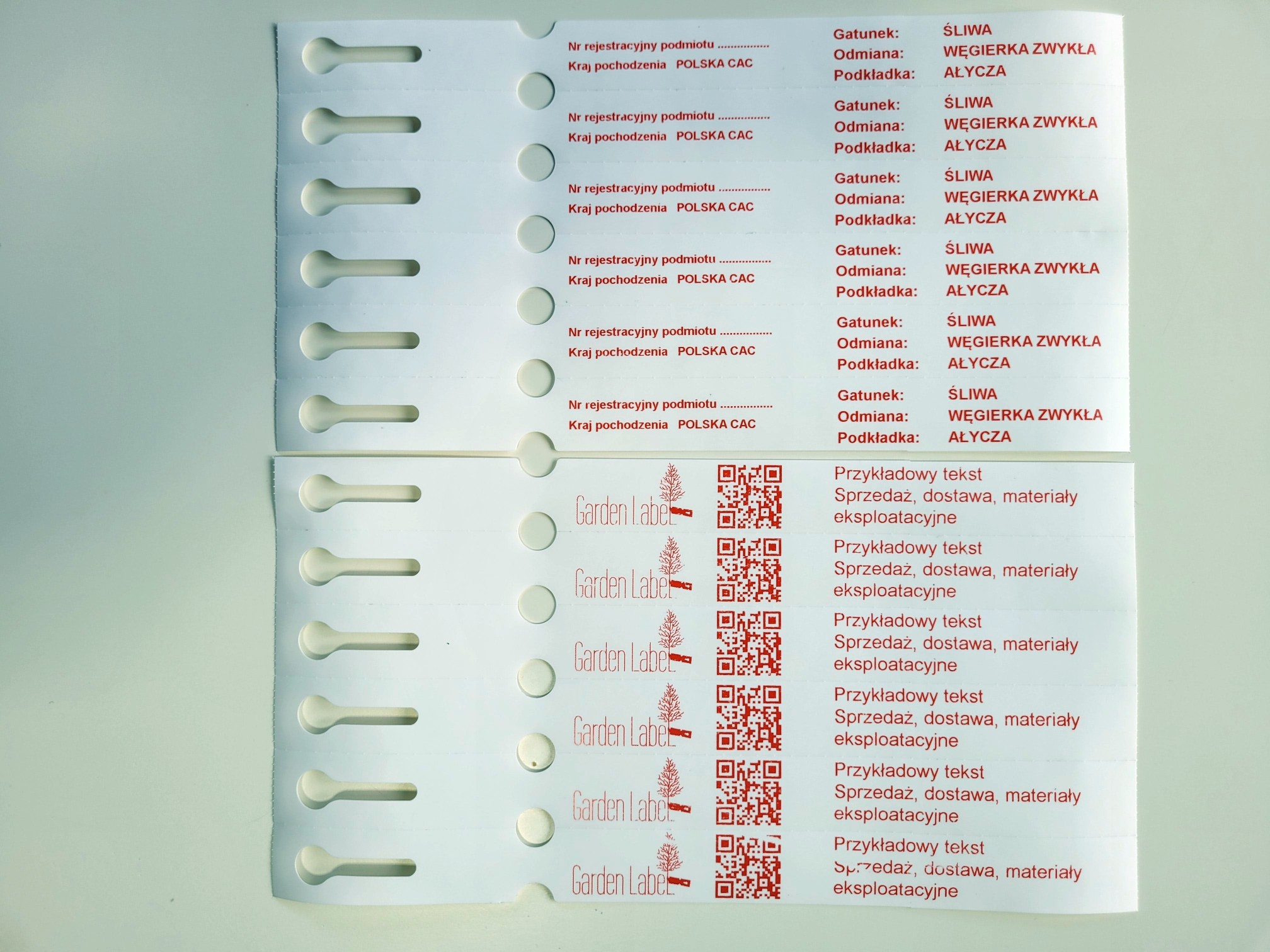 218b6d4b8a9058ed21fb1f84b10ca4a8