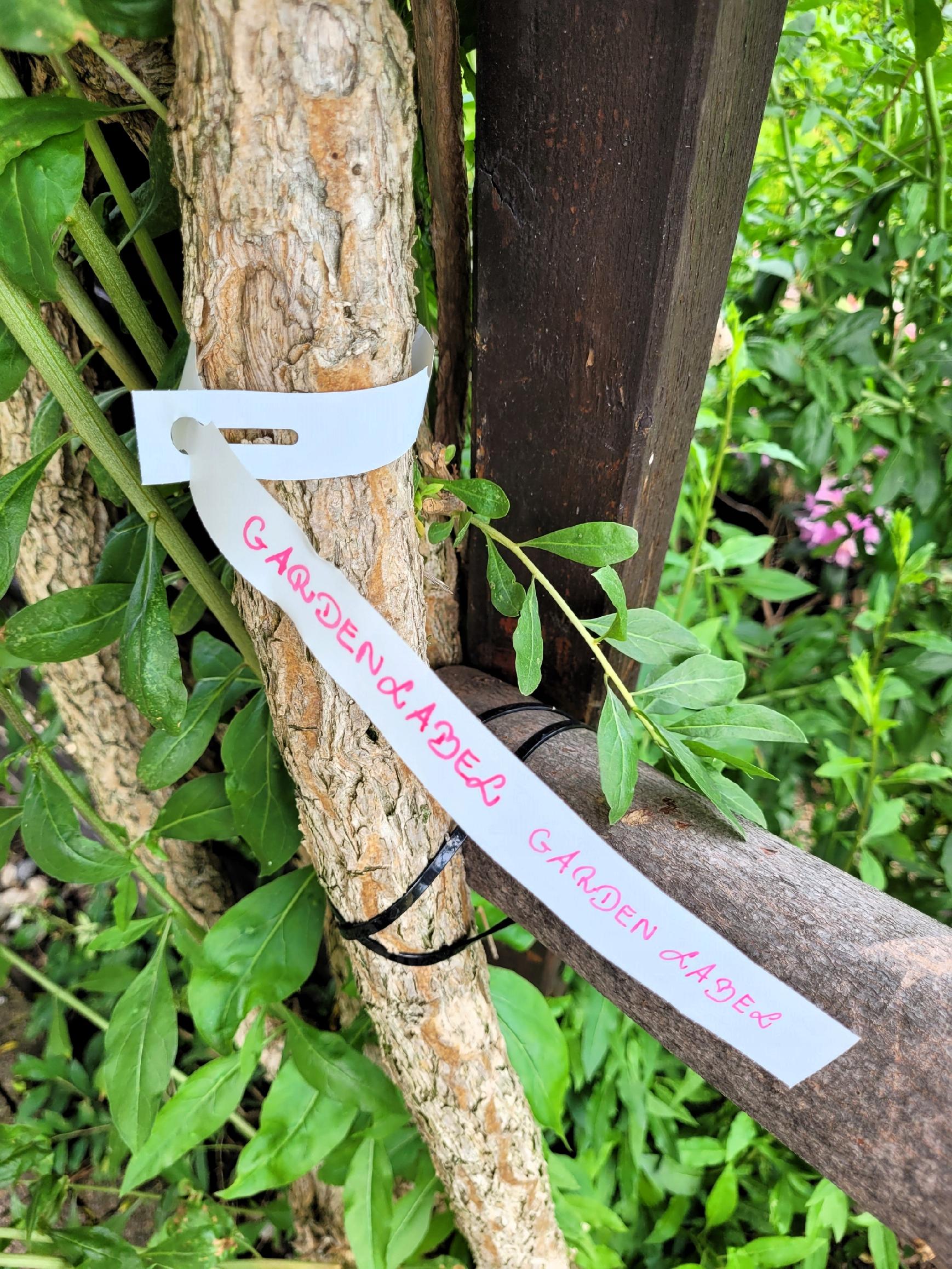 1d9046b5643c90ce3184e62dc608cbc4