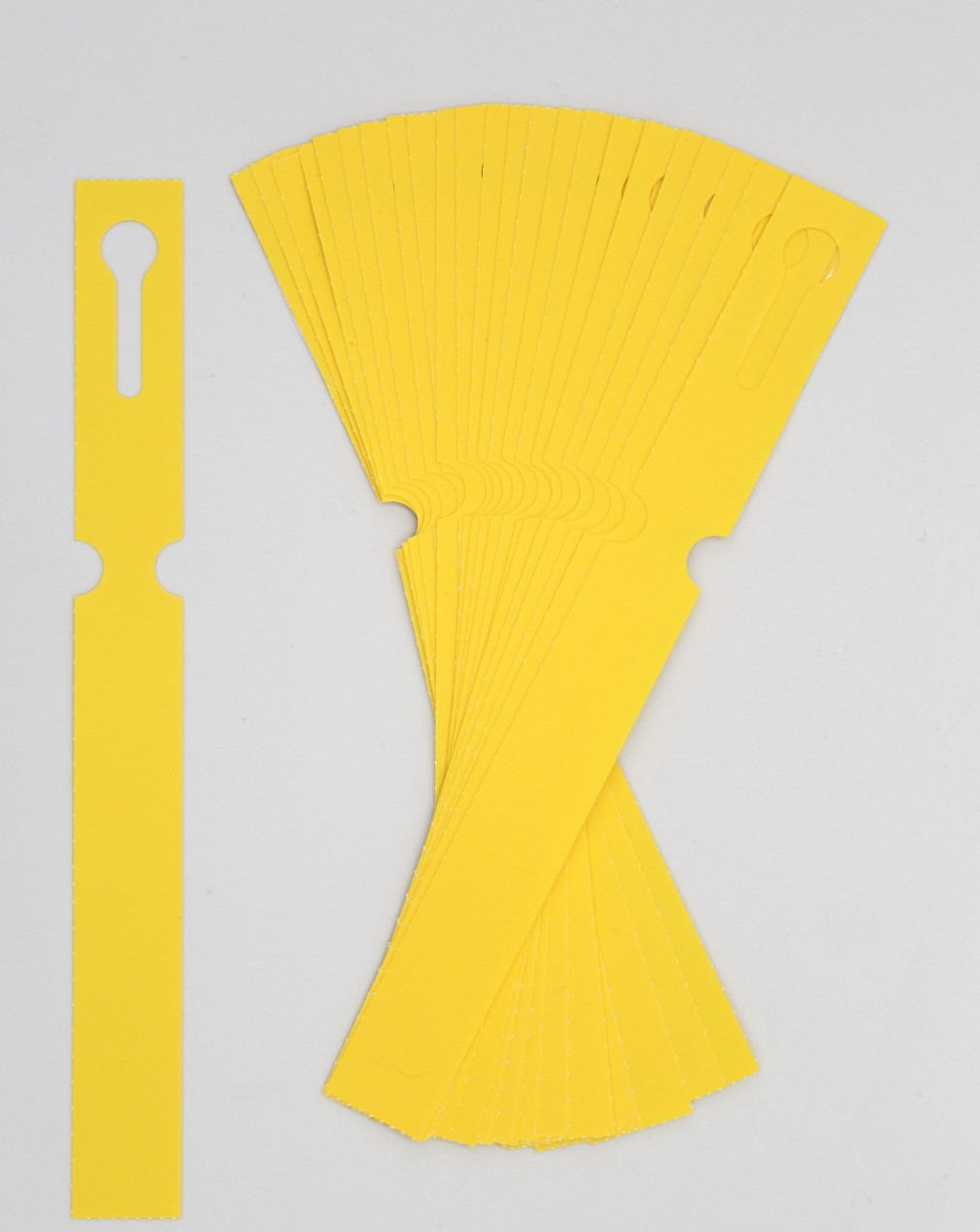 61023aefc8244eda4d9abe6b48f3b5e7