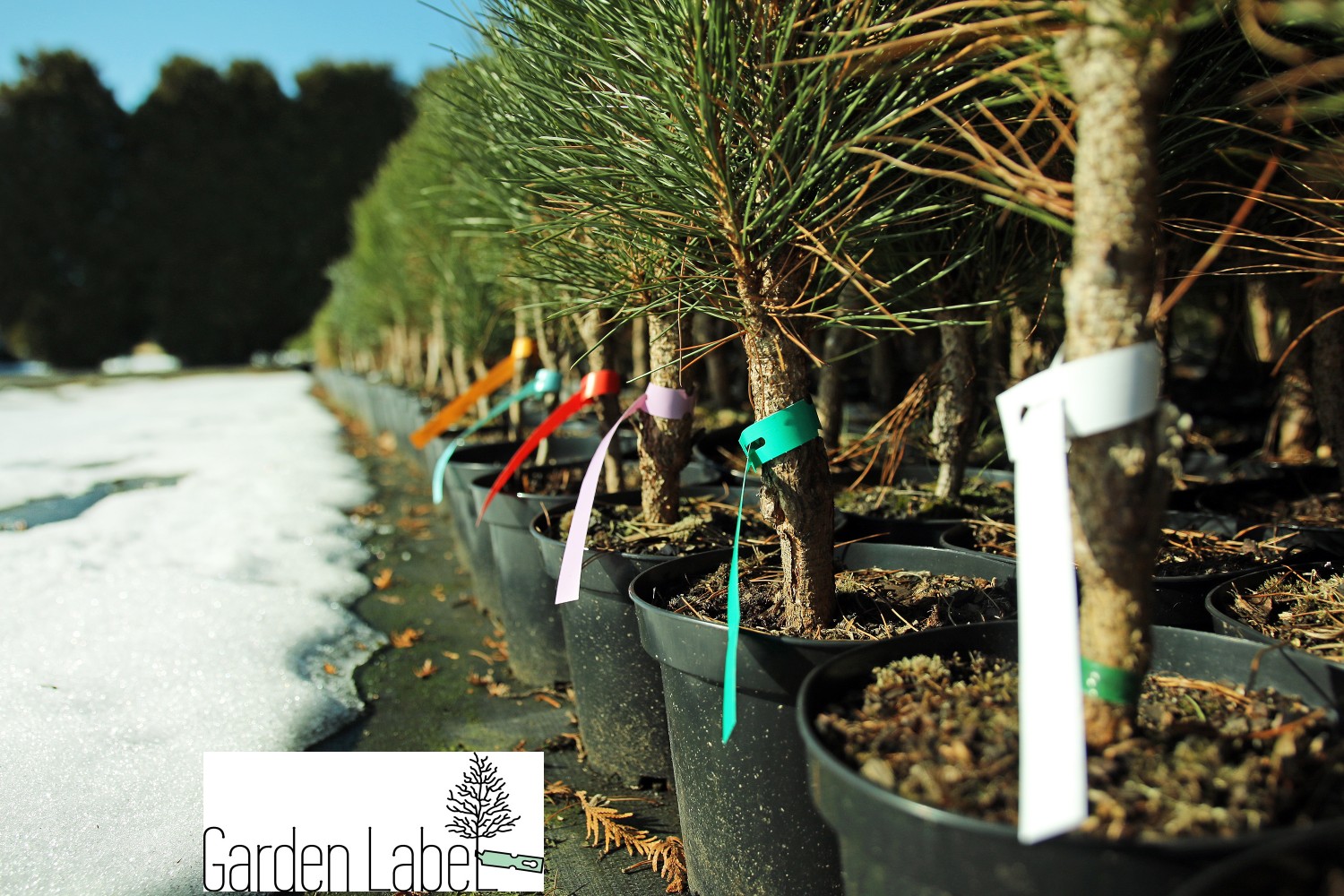 8a5f233ccfb01de076f317b69cceb645