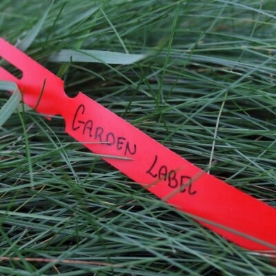 1c6b4dd71d929db39fc9d1d6d37059e2