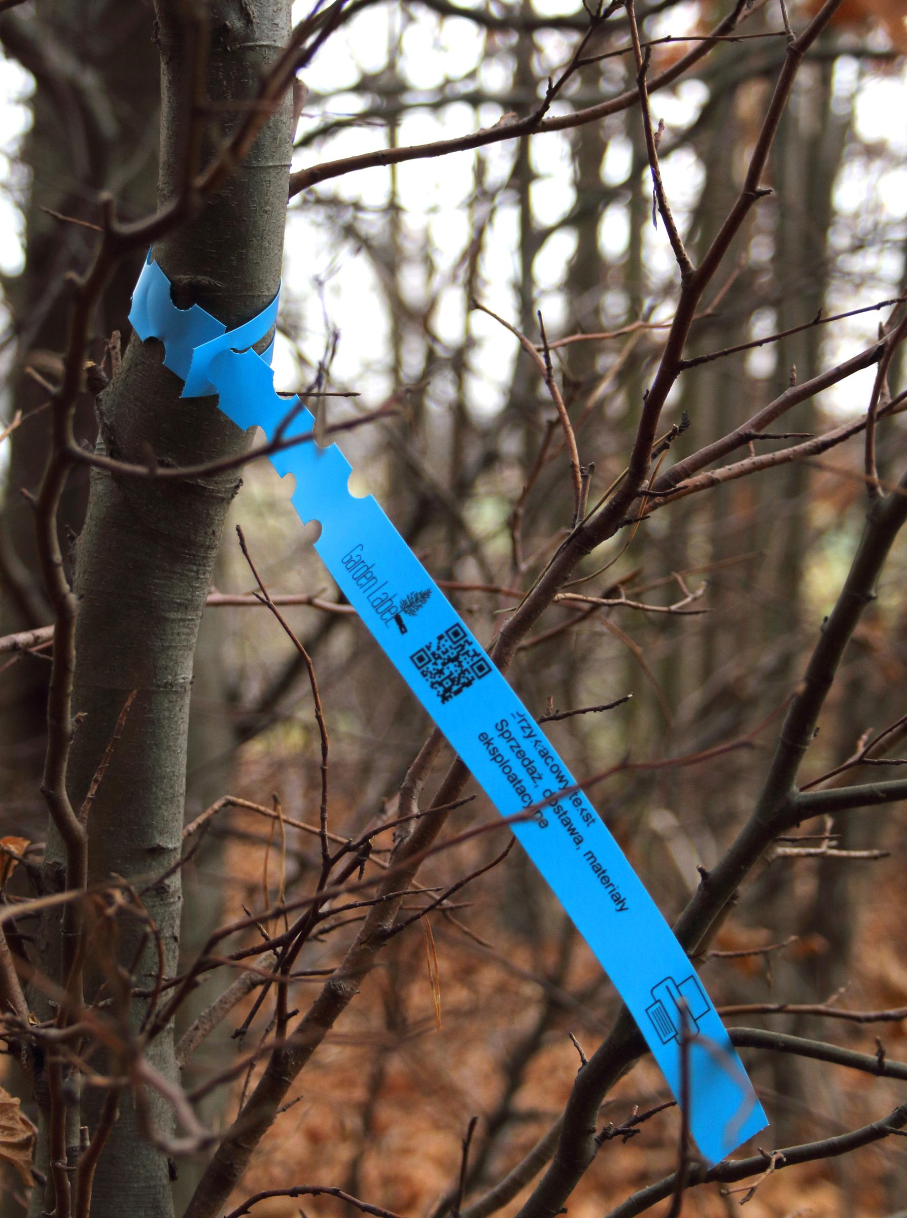 557c206e929f06d9e213a483339aef3a