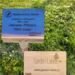 ffe6054d86313e70722fb92885cb1699