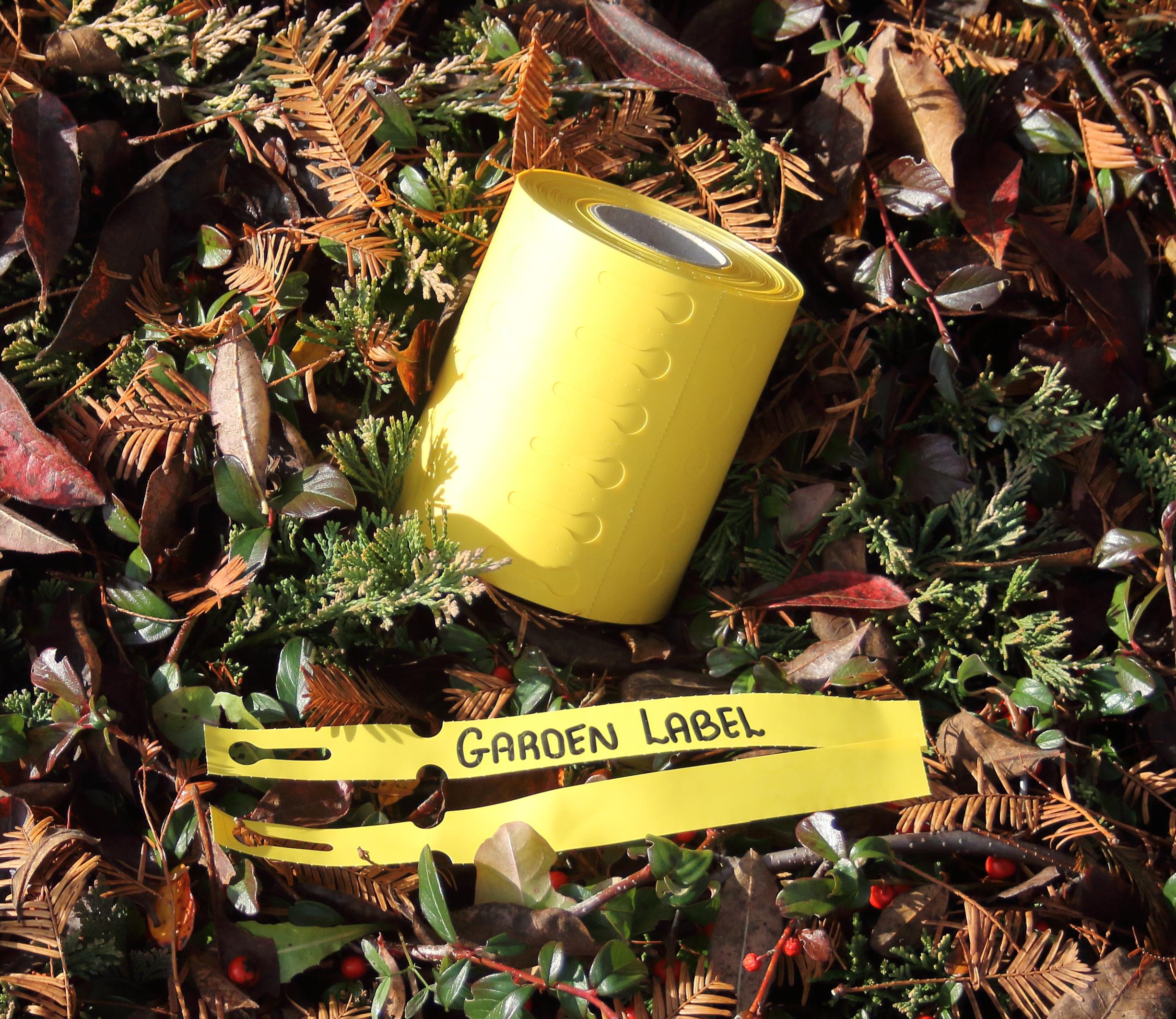 4fb76cd71b5ee883d8f9bc206ae10dea