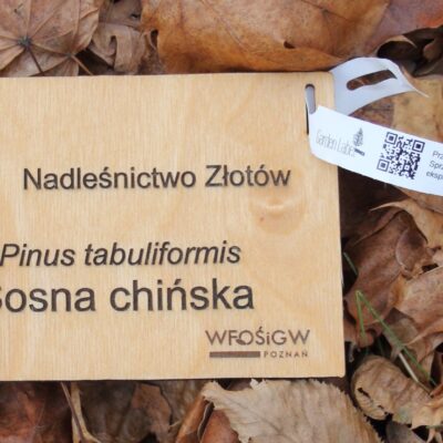 78d2d26318dcc4df273345f6b1f02a79