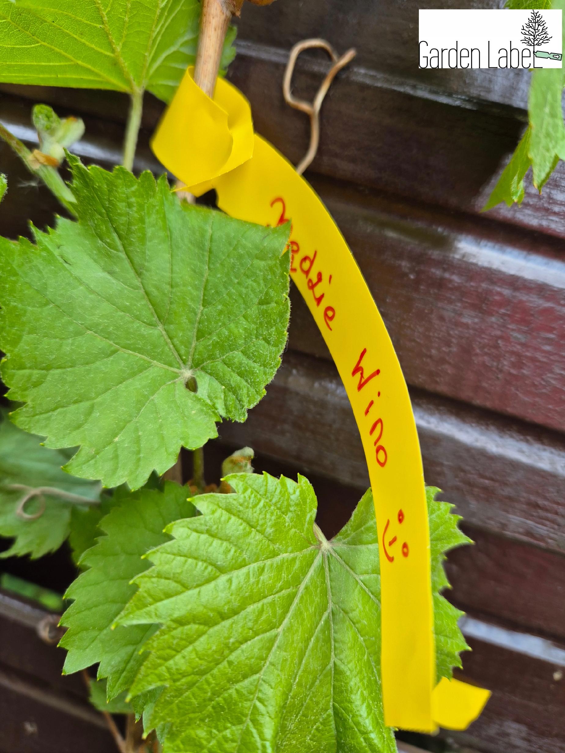 7a593199b950db562644628bed247024