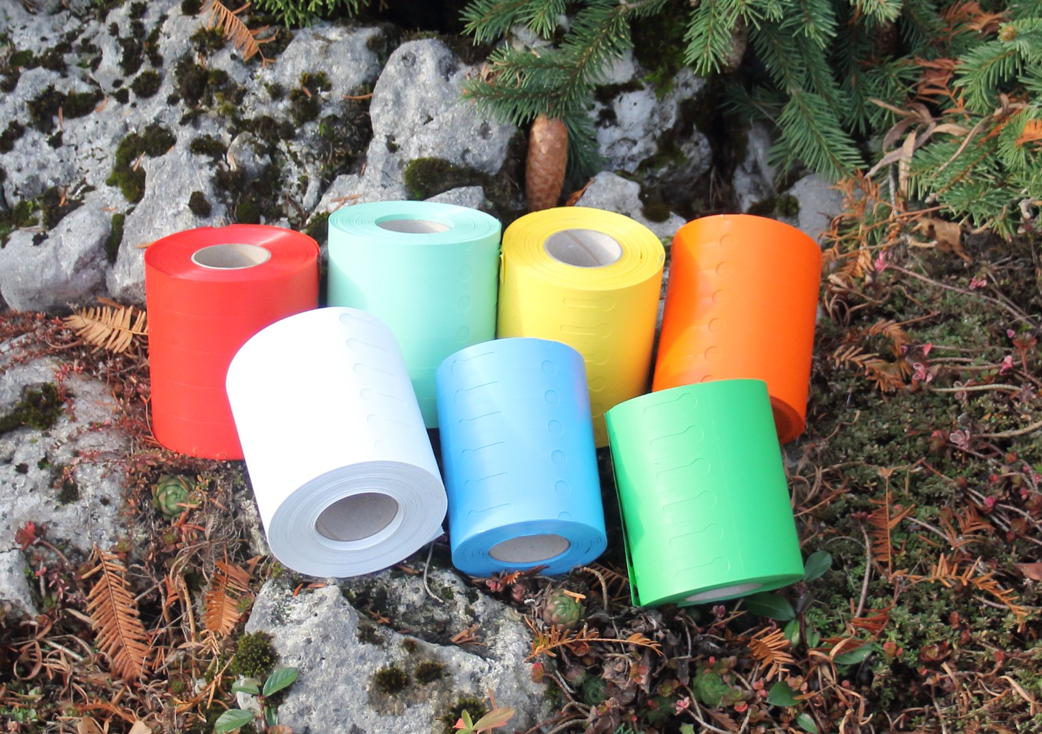 7f71c13a2381a9f30f7edc6e60f51a23