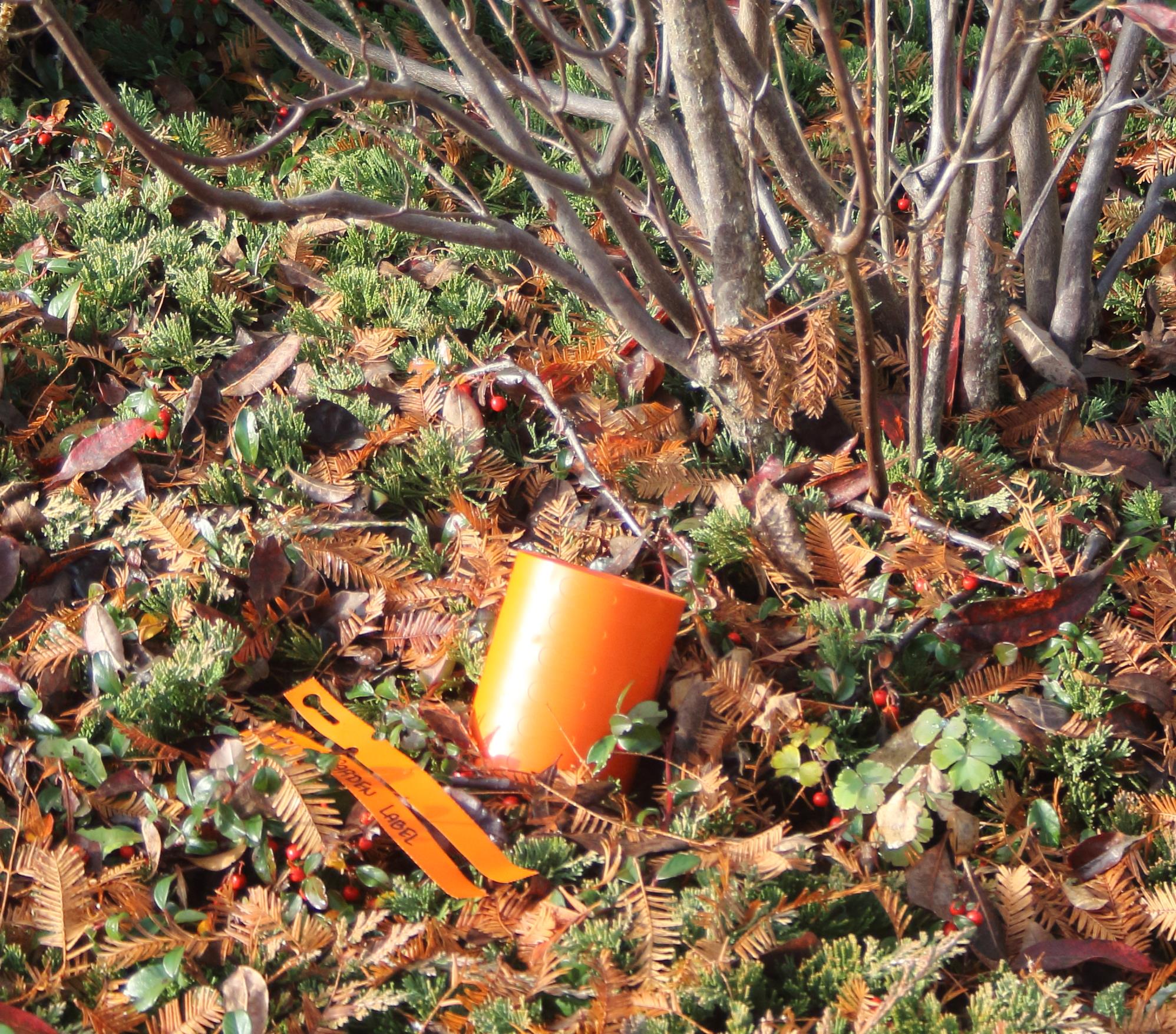 3252a9f68c49618a7d61b65ef6c0b9f6