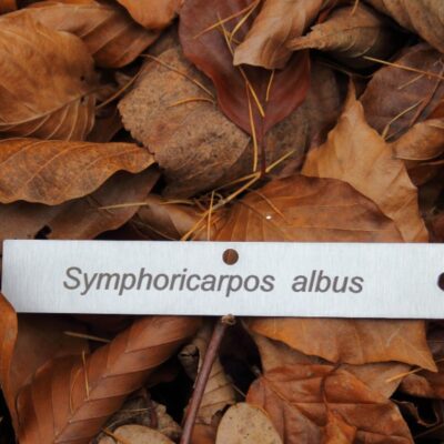 72ec1330bab013f26456b7ae457c77ac