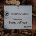 959c0286adc72ea0b56af78ae5c778b8