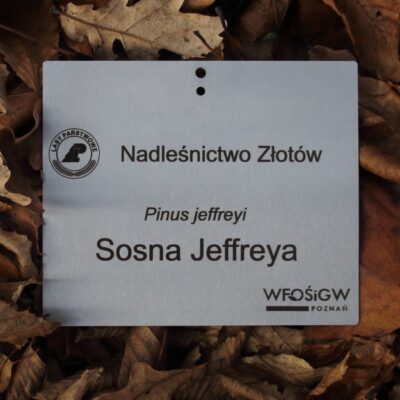 959c0286adc72ea0b56af78ae5c778b8