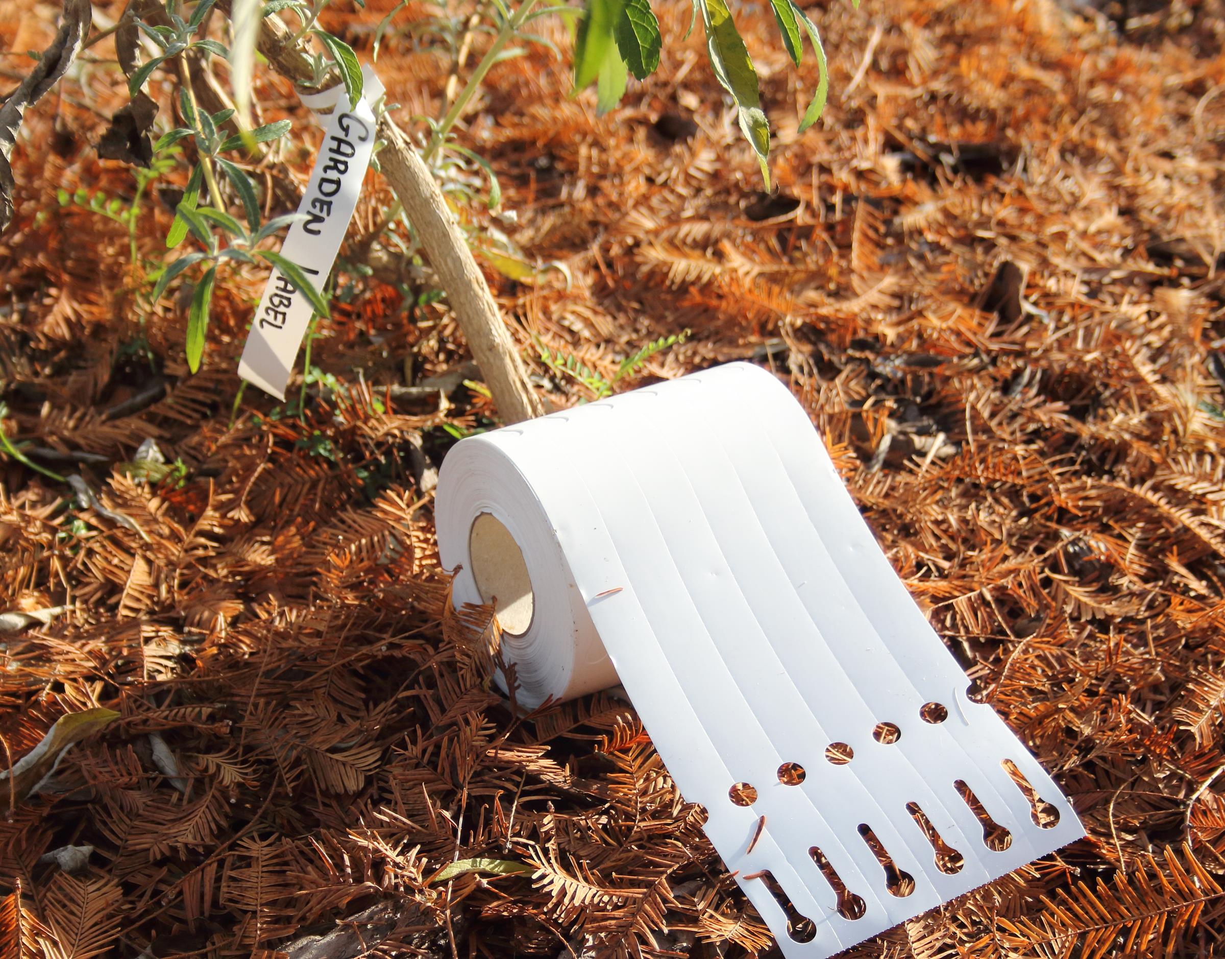 29517f6c688e3a113942ab918f69bef1