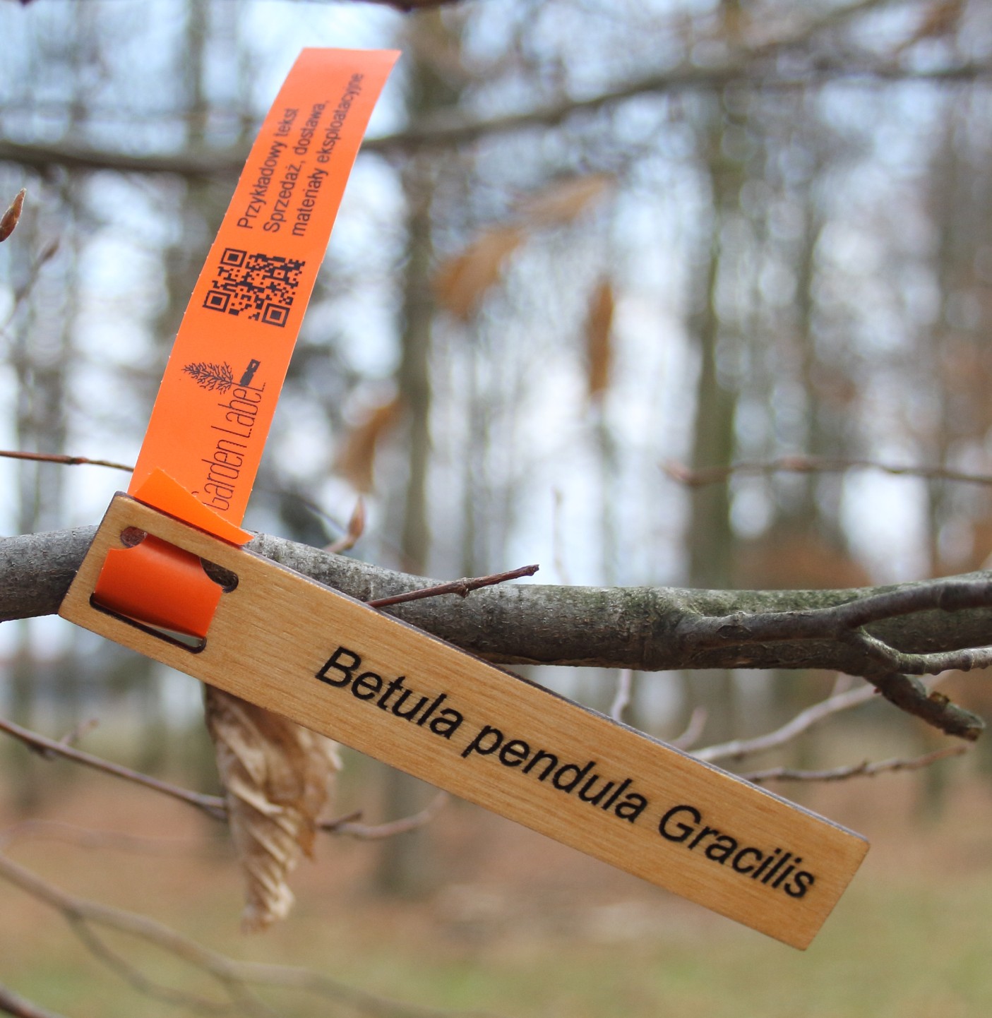 c51d52ed619f68ed00325d1b2acd5907