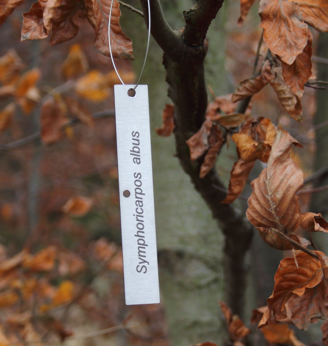 35fa0d671e0e0d48d959c45d8e03f25a