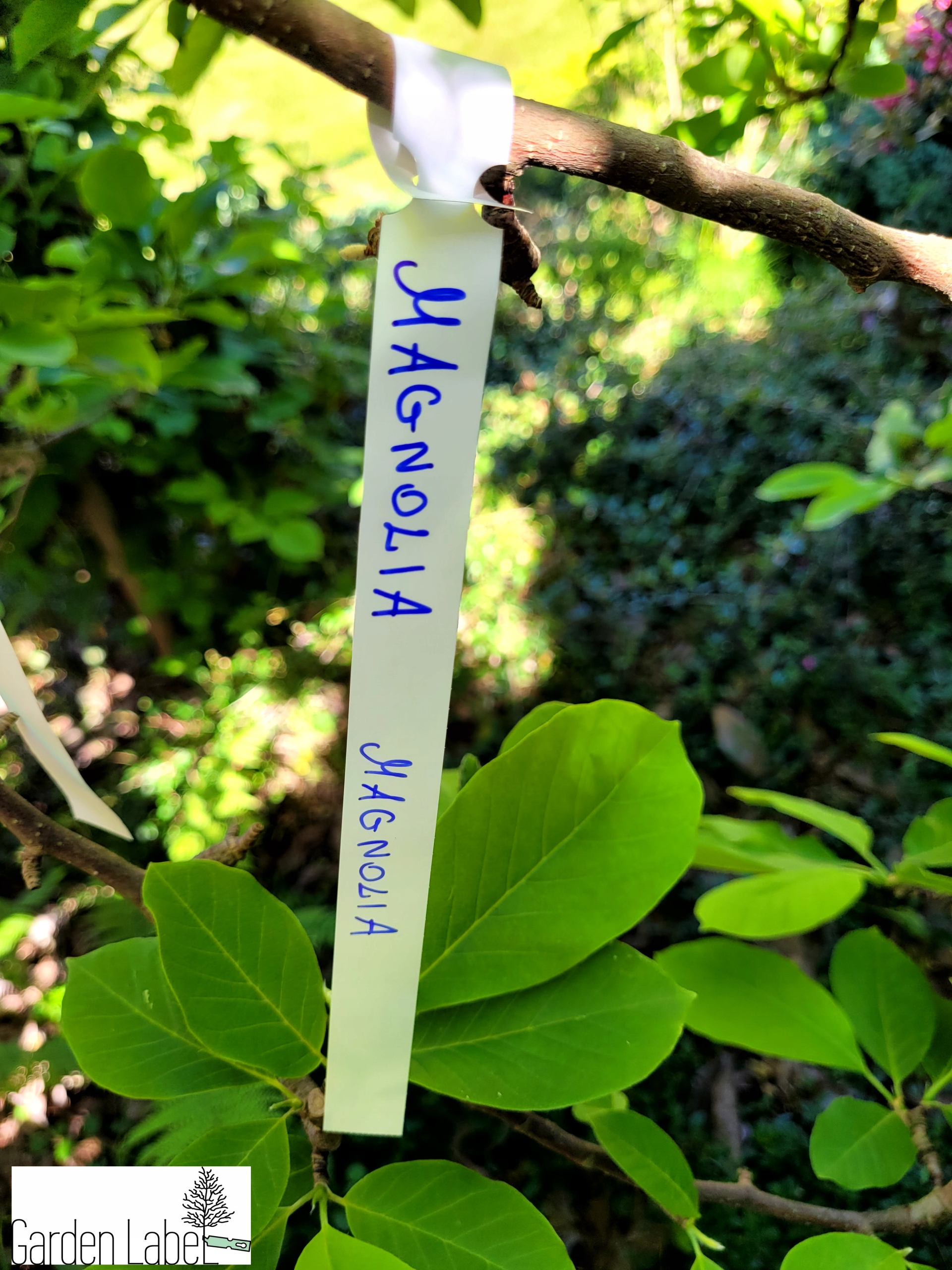 097d9a3360a1039bd427f2ba28688e3e