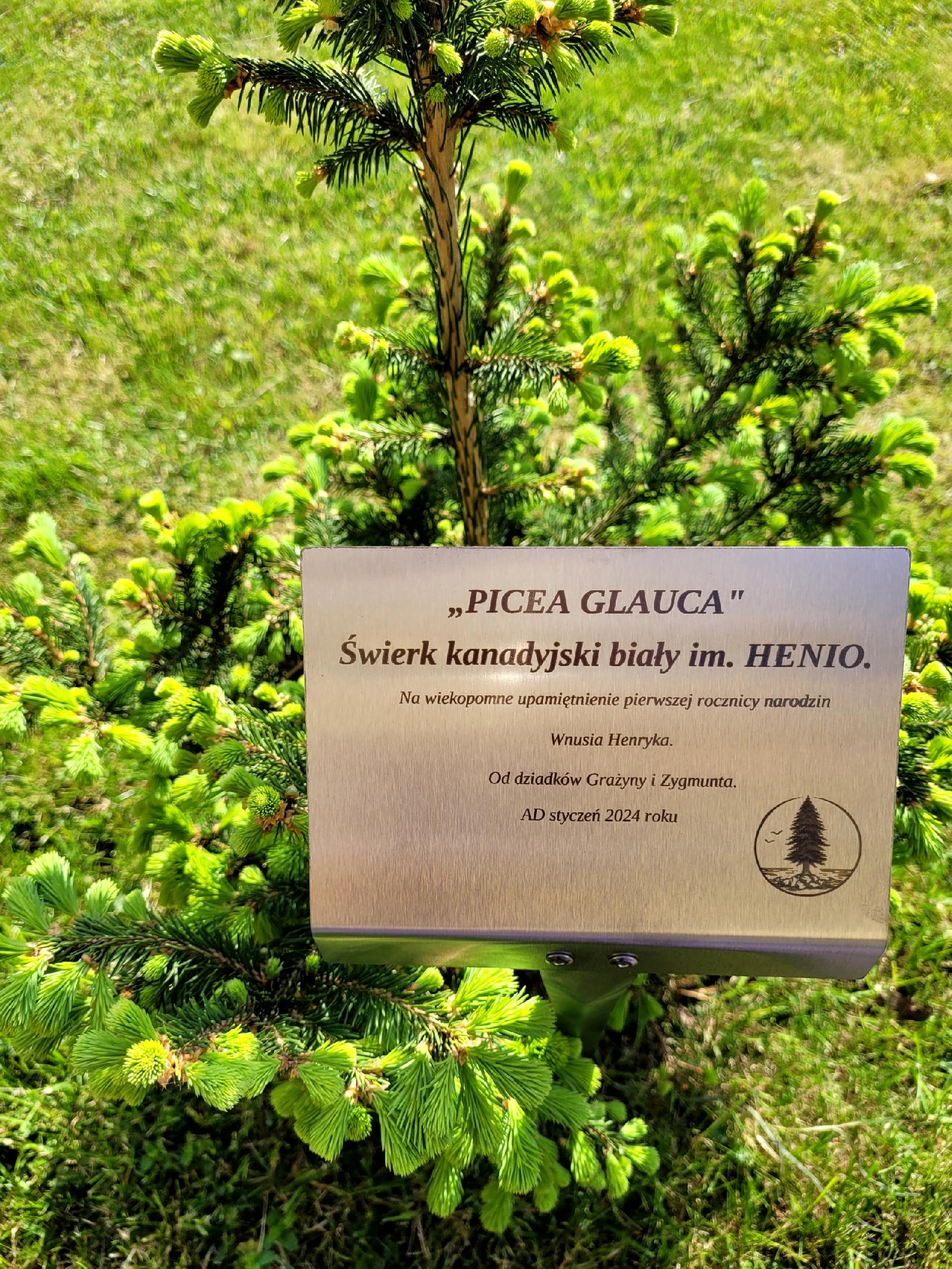 54967a9a3fa070d39740adffaab192da