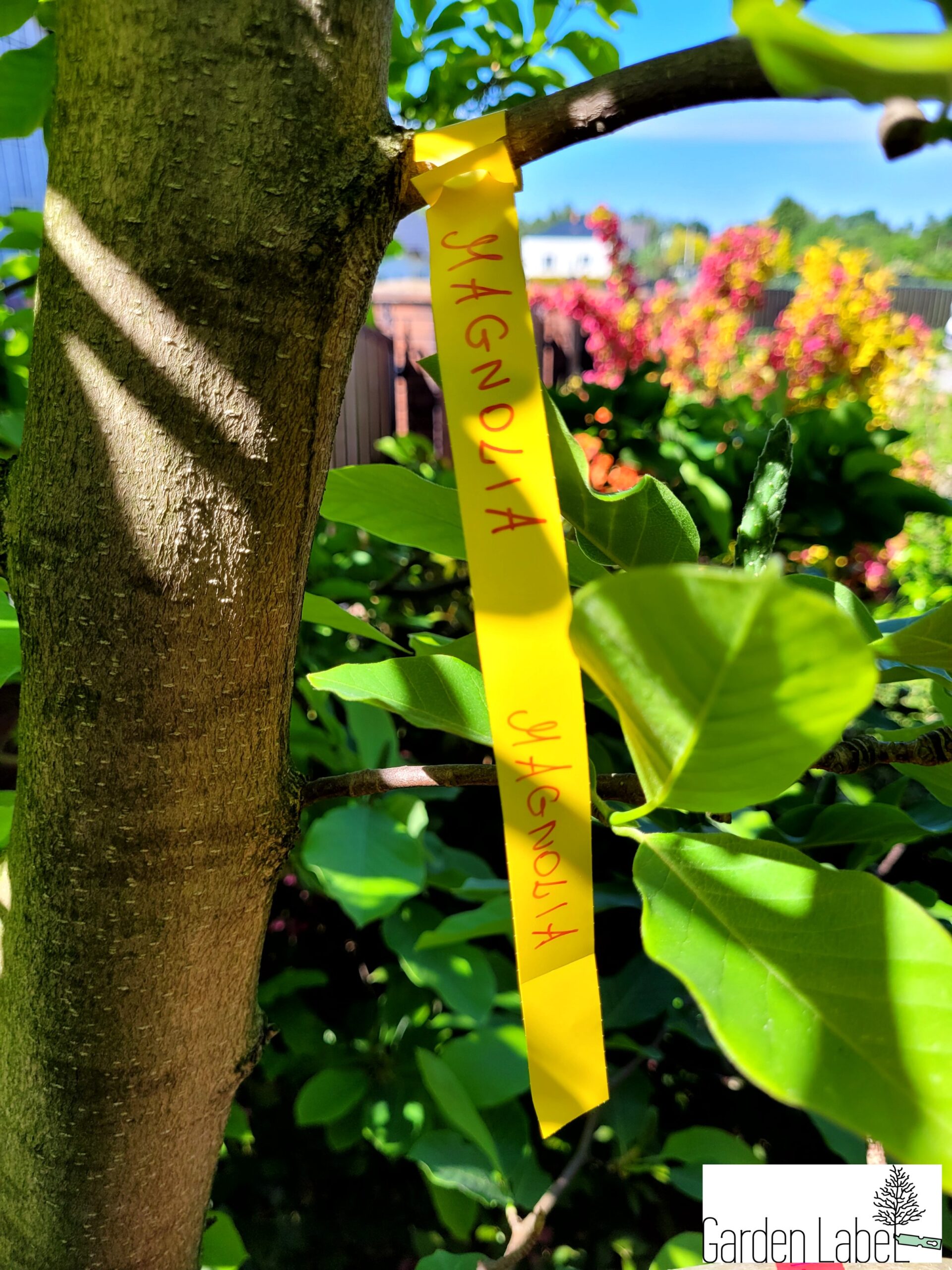 442c4a5713a00775c44eb8bff8e65c67