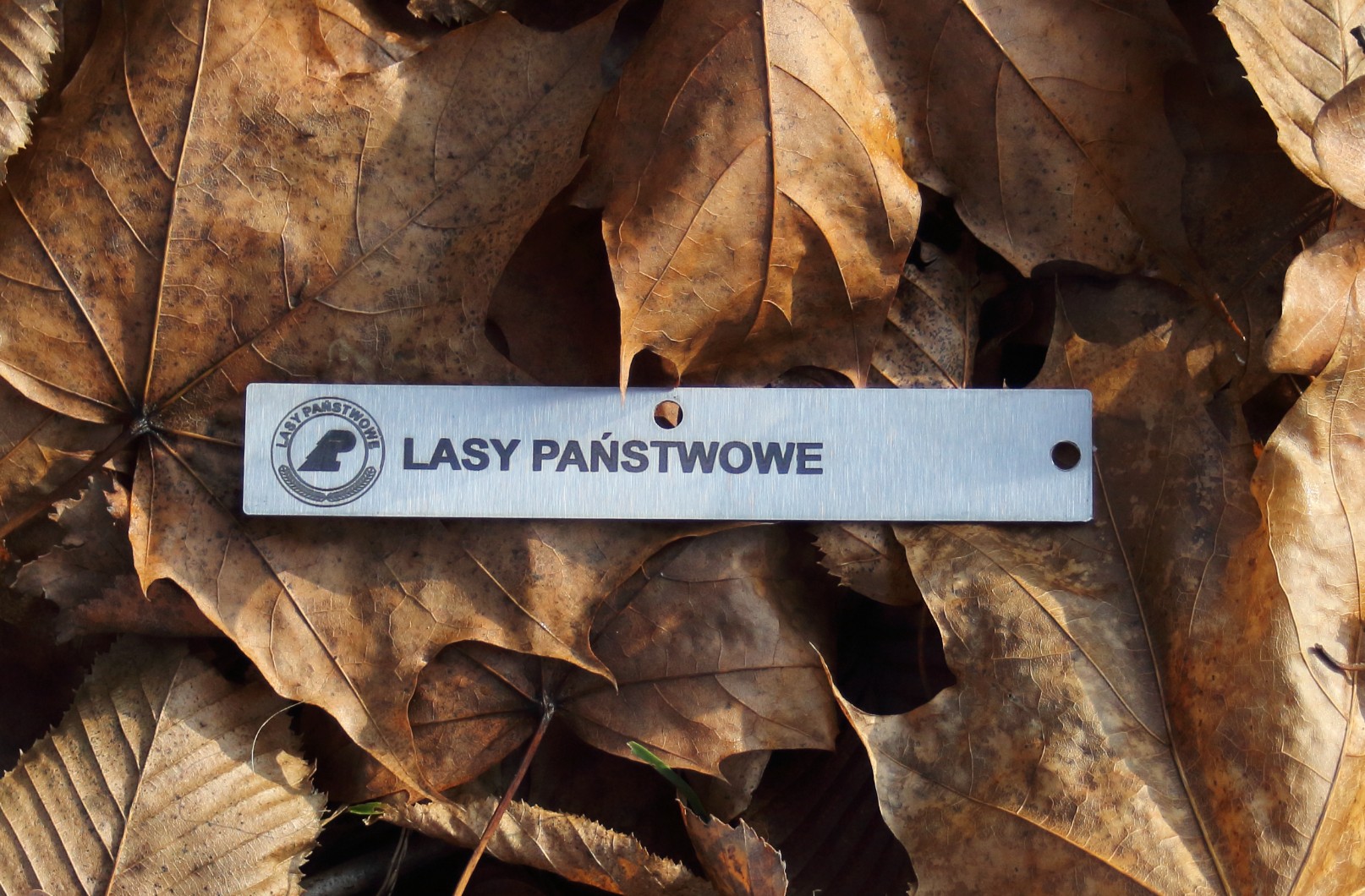 af4324d173a3f8c8eca7c9e16fed5b74