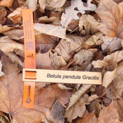 4420e9c943dc2f13630e46e42757f03e