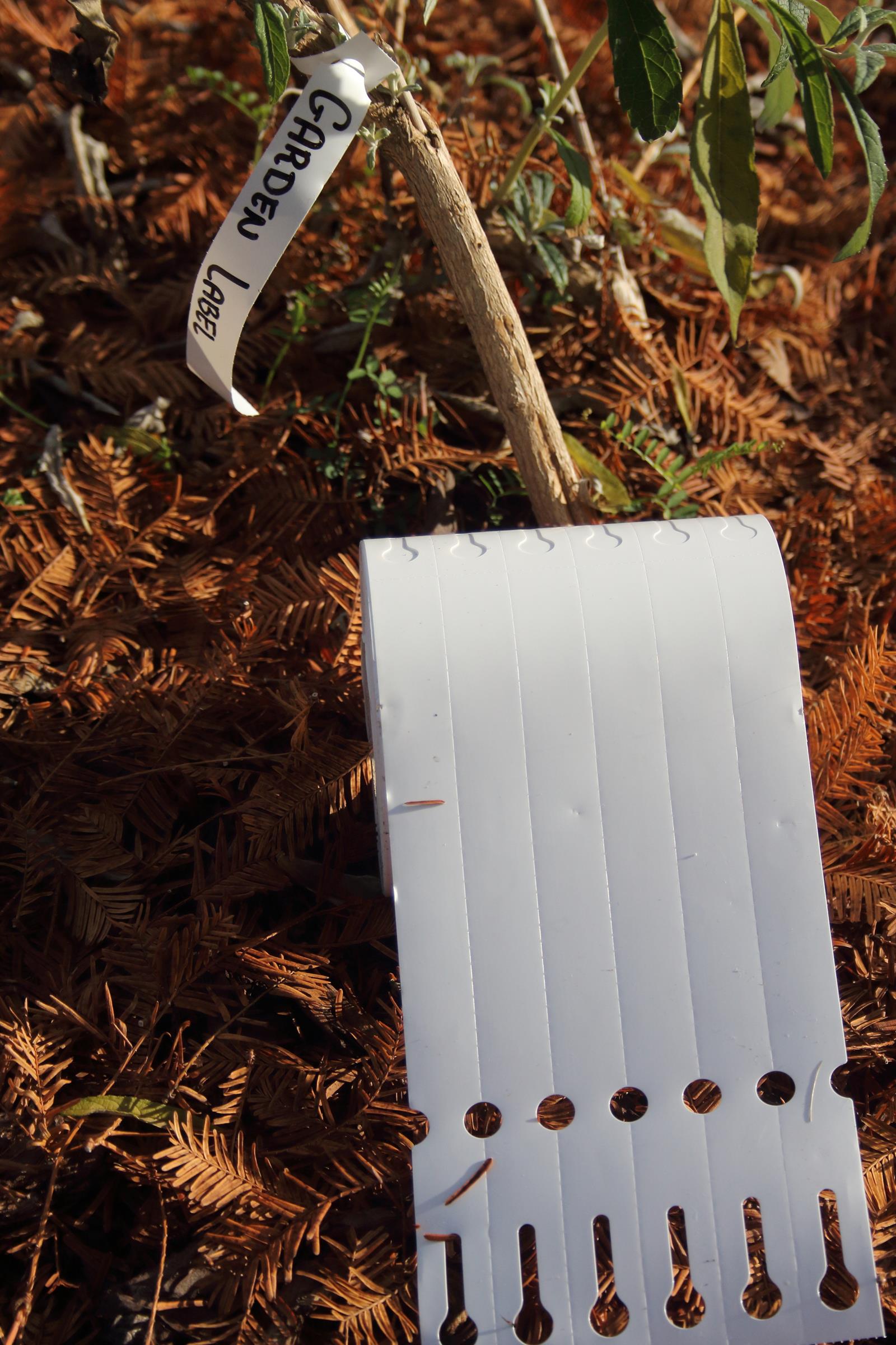 fc0a959c6166f74a48a26865f887dfb2