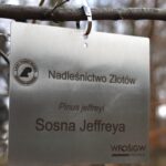 e65462ea35c1b8dd63f4511c27915414