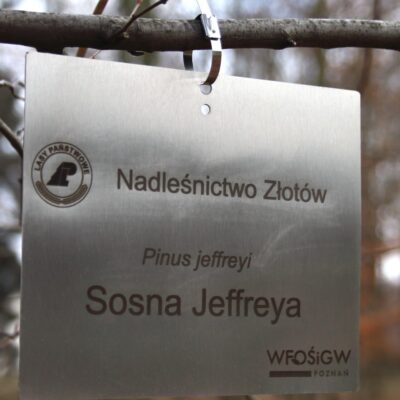 e65462ea35c1b8dd63f4511c27915414