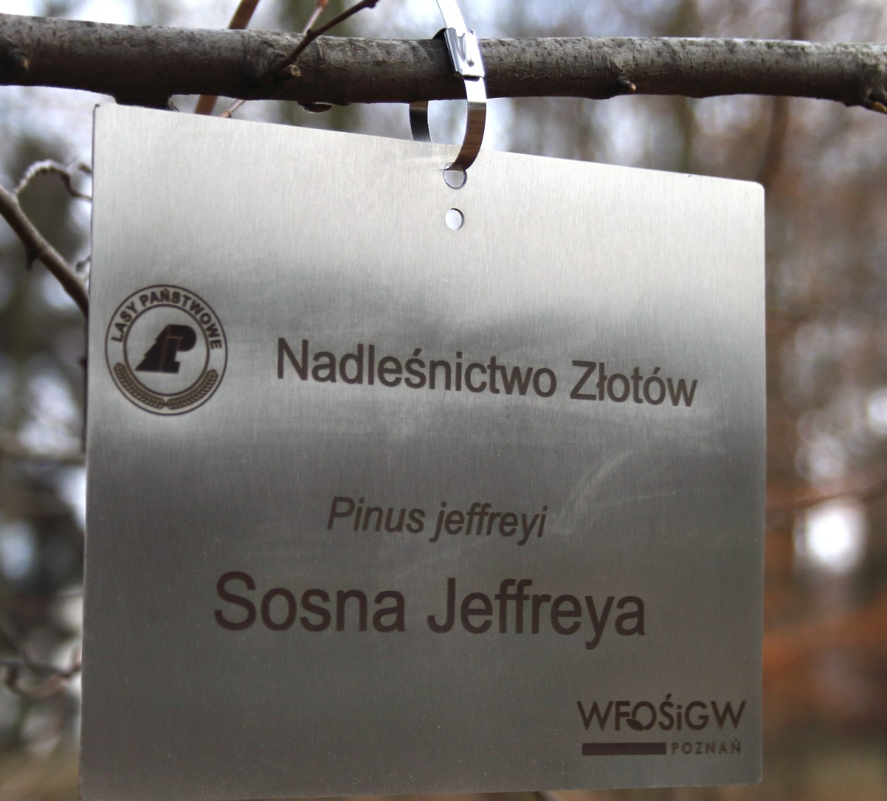 e65462ea35c1b8dd63f4511c27915414