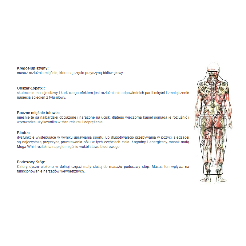 407ba0b8f145e272ed04fc7e793718aa