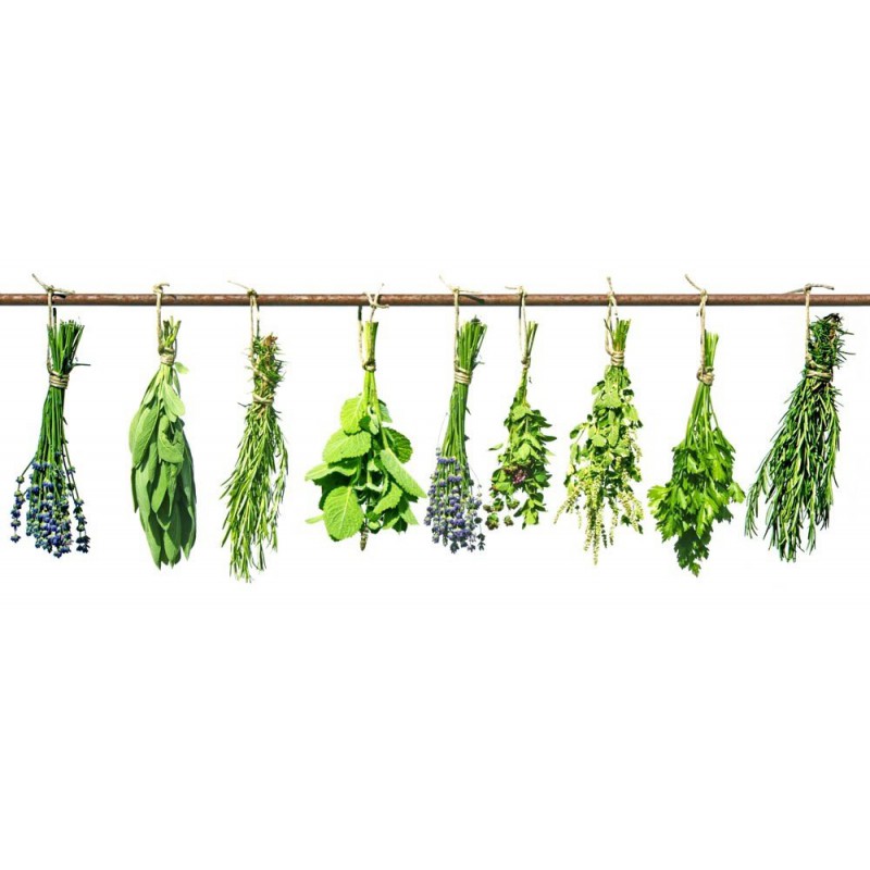 43ca830ef15cfc8738d3818fd472cb5f