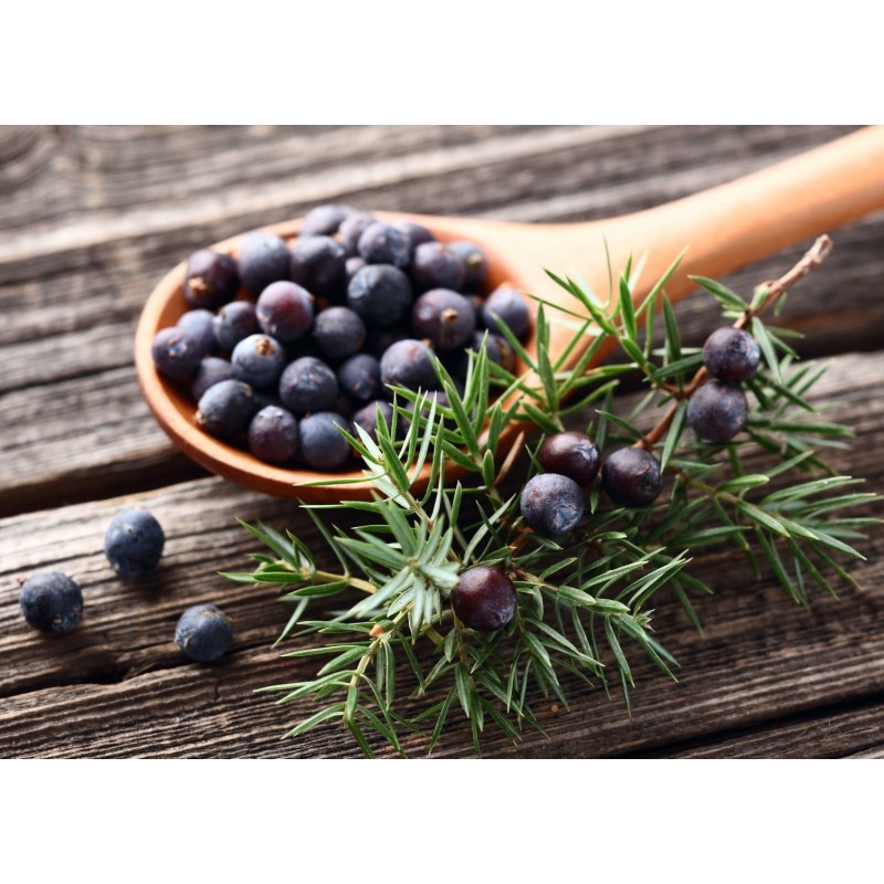 45ddcaa4c1a910a9df5d844ee27b8d8d