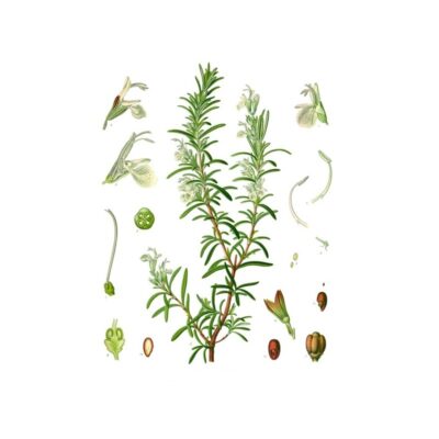 aa313d401f18944e4faf38ba10324ac6