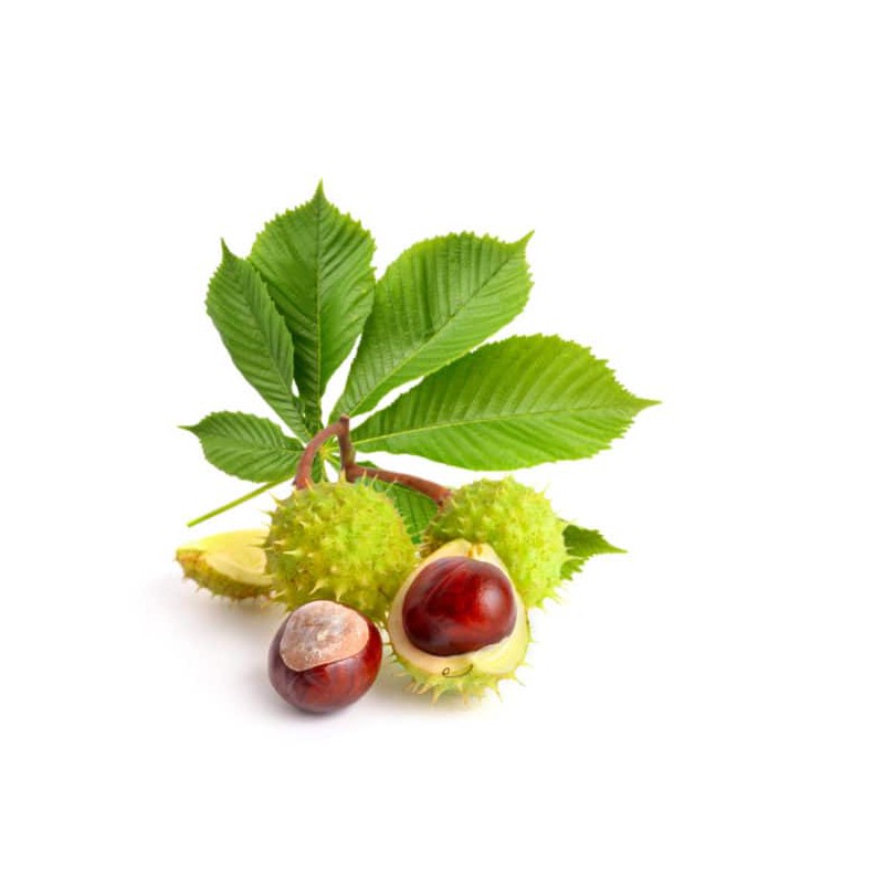 9dc16413cae546e05e42e373920c4710