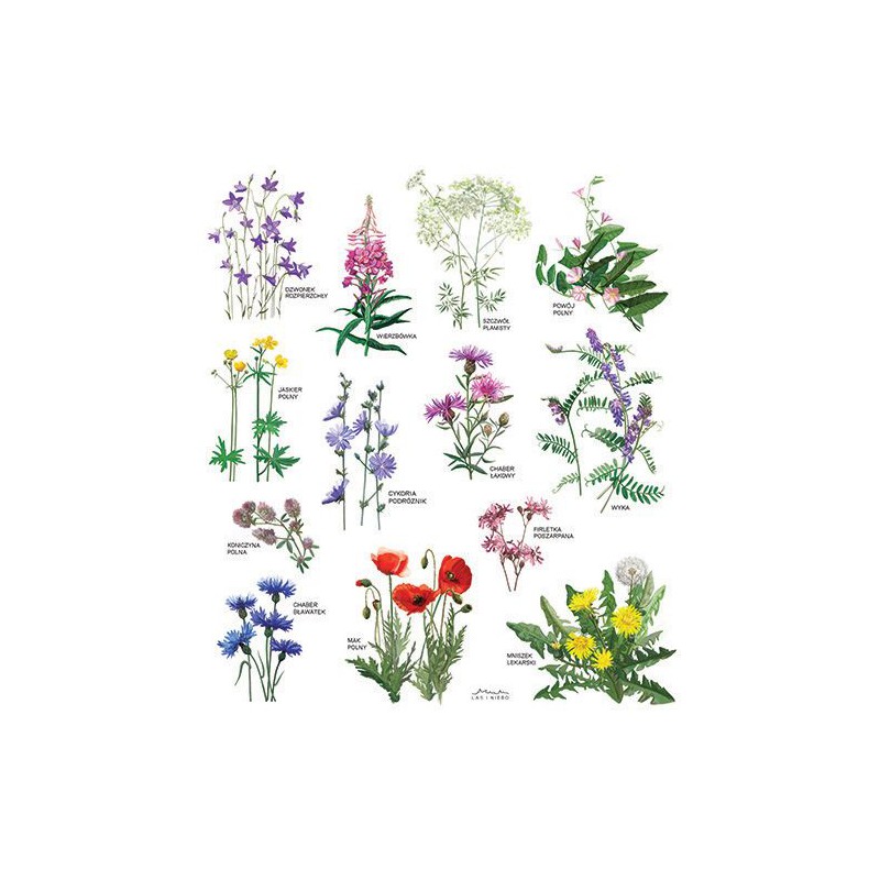 60d8dc9c2c1e60f9f70d9445caac33d1